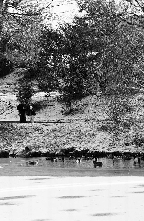 Arboretum 1970