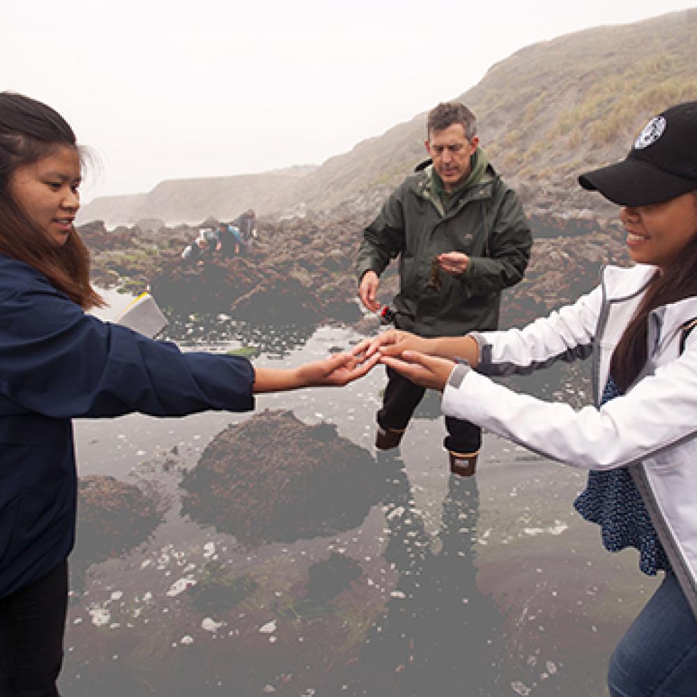 Faculty and students examine coastal waters at Bodega Bay